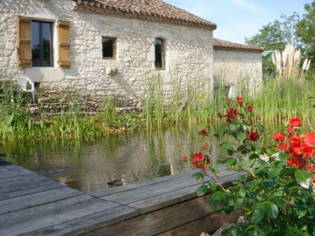 On peut profiter au bord de cette spacieuse maison d’une piscine naturelle de 40 m² (capacité de 40 m3) avec cascade et purification par des filtres plantés, très jolie et très agréable en été.