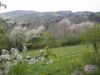 La beauté des paysages, la diversité des milieux naturels et les nombreux sentiers qui le sillonnent sont les principaux atouts de ce parc régional, l’un des plus grands de France. On y compte de nombreuses activités artisanales.