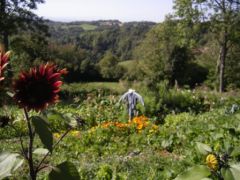 Le jardin est en entretenu en bio depuis au moins 7 ans et dispose d’une source et d’un endroit pour le compostage.