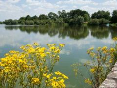 Etang de la Provostière