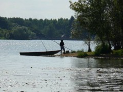 Pêcheur à l'étang de la Provostière