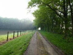 L’habitation est installée en limite du village, ouvrant sur la forêt, les étangs et les champs