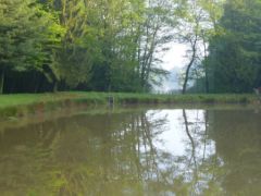 Environnement propice aux promenades