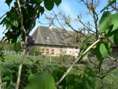 Maison pan de bois et de briques