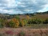 Collines Languedoc-Roussillon