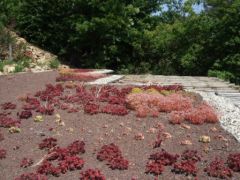 Toiture végétalisée maison bioclimatique