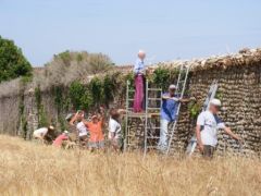 Eco-quartier travaux en commun