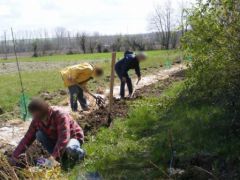 Eco-quartier chantier jardinage commun