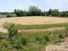 Eco-quartier terrain agricole