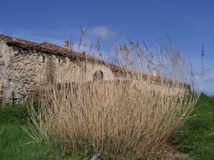 Rénovation écologique - Ruine