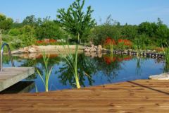 Piscine naturelle