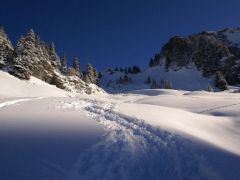 Plateau des Glières