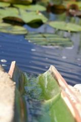 Maison autonome en eau