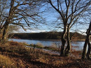 Forêt de Tronçais - Etang de Pirot