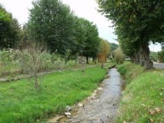 Paysage village Auvergne