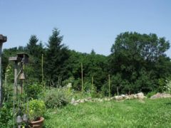 Jardin maison à vendre Puy-de-Dôme 63