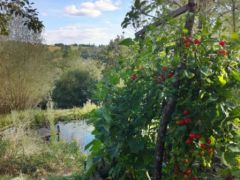 Maison écologique à vendre 19 Brive-la-Gaillarde Corrèze Dordogne