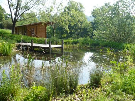 terrain boise a vendre correze