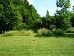 Maison à vendre jardin Nantes Sain-Nazaire