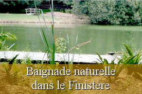Chantier participatif baignade naturelle piscine naturelle écologique Finistère 29 Bretagne Quimper