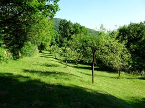 Chantier participatif Ain Jura Auvergne Rhone Alpes isolation paille enduits terre