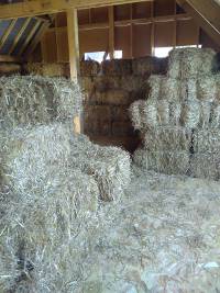 Isolation toiture paille