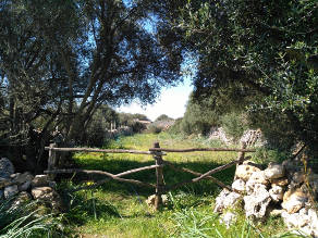 Chantier participatif Baléares Espagne