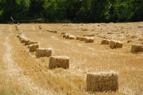 Chantierparticipatif Drôme maison paille