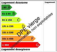 DPE vierge