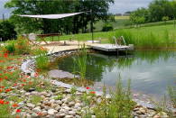 Construction piscine naturelle