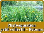 Phytoépuration semi-collectif : avis et retour d'expérience sur une installation d'assainissement écologique collectivité
