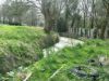 On trouve sur le terrain boisé des arbres centenaires, des chênes de 18 m de haut, quelques fruitiers