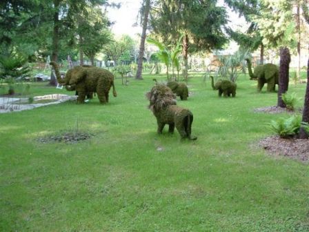 Les animaux de la savane dans le coin Afrique du parc